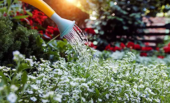 liquid fertilizer liquid fertilizer