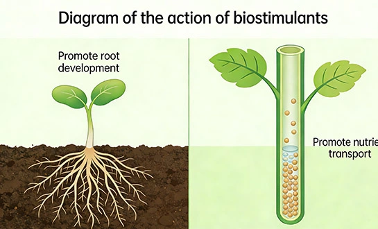 plants signaling molecules plants signaling molecules
